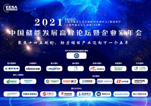 烟台开发区德联软件重点支持2021中国储能发展高峰论坛暨企业家年会