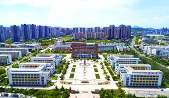 烟台物联网技术学习与软件开发培训全攻略